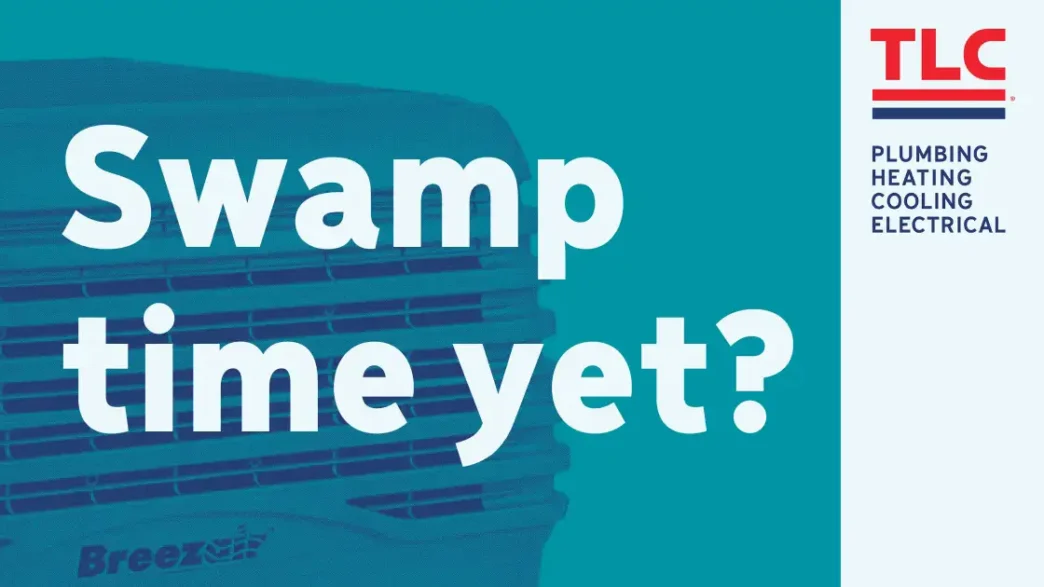 Swamp time yet? Swamp cooler on teal background.